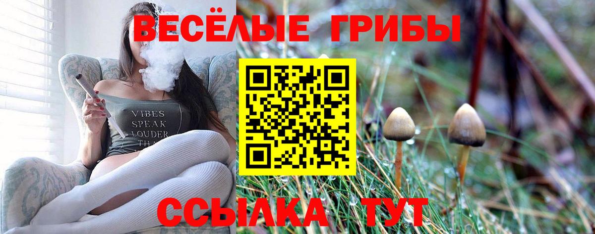 Острогожск  Галлюциногенные грибы MAGIC MUSHROOMS  Вход с VPN 