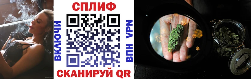 где найти наркотики  Острогожск  Канабис VHQ 