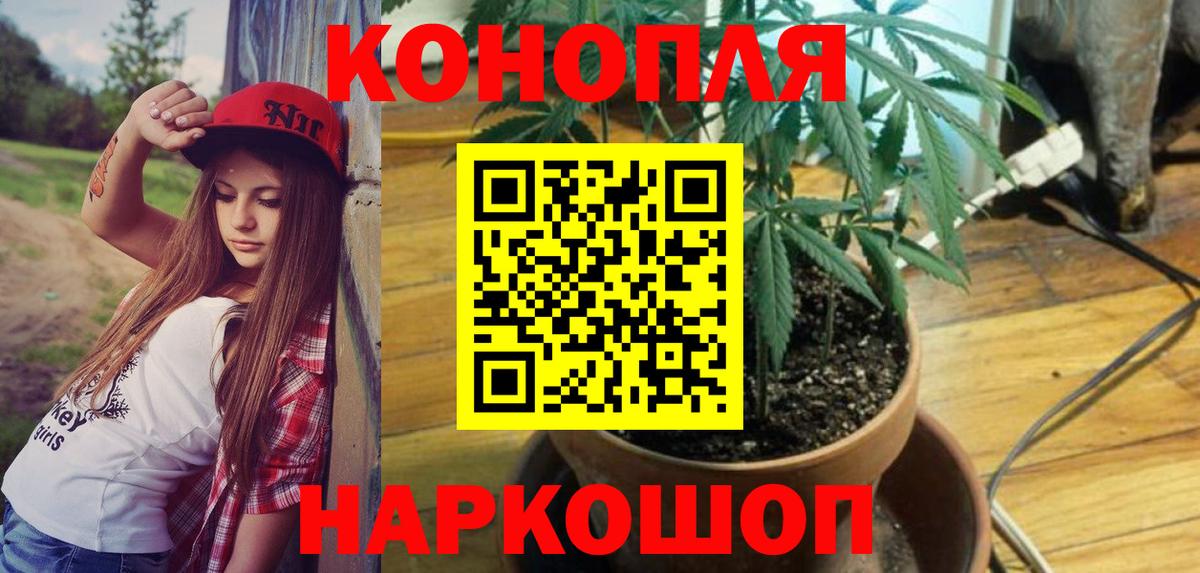Канабис гибрид Острогожск